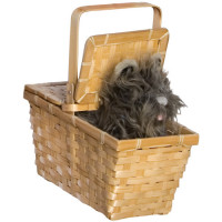 Toto in a Basket