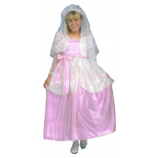 Cinderella Princess Costume