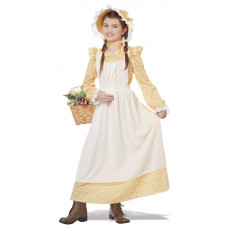 Prairie Girl Costume