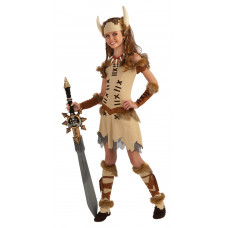 Viking Princess Costume