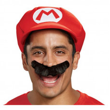 Mario Accessory Kit