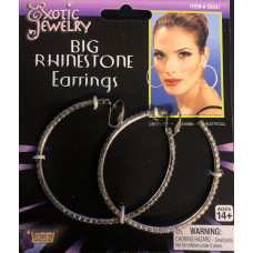 Big Hoop Rhinestone Earrings