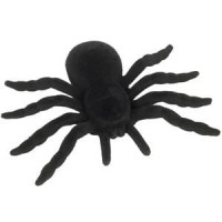 Large Black Furry Spider
