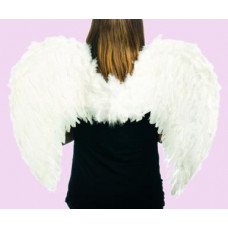 19" Angel Wings