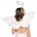 Angel Wing Set