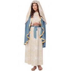 The Virgin Mary Costume