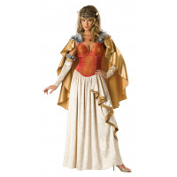Viking Princess Costume