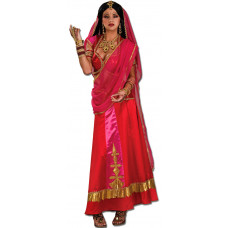 Bollywood Beauty Costume